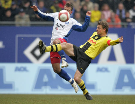 雄鹿栖息地保护与生态平衡研究：从生态环境到物种多样性的综合探讨